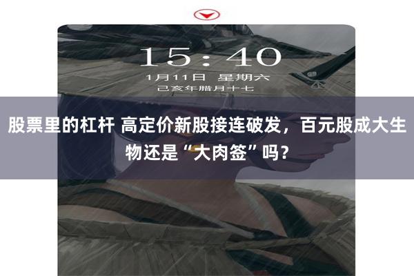 股票里的杠杆 高定价新股接连破发，百元股成大生物还是“大肉签”吗？