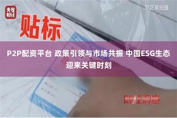 P2P配资平台 政策引领与市场共振 中国ESG生态迎来关键时刻