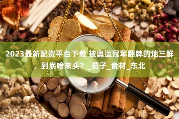 2023最新配资平台下载 被奥运冠军翻牌的地三鲜，到底啥来头？_茄子_食材_东北