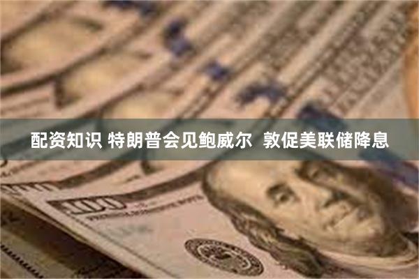 配资知识 特朗普会见鲍威尔  敦促美联储降息